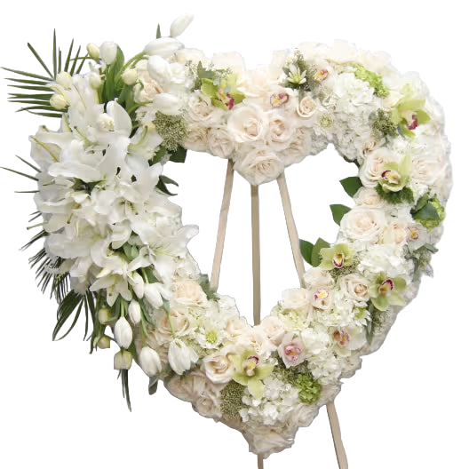 Heart