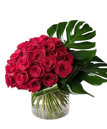 Tropical Roses