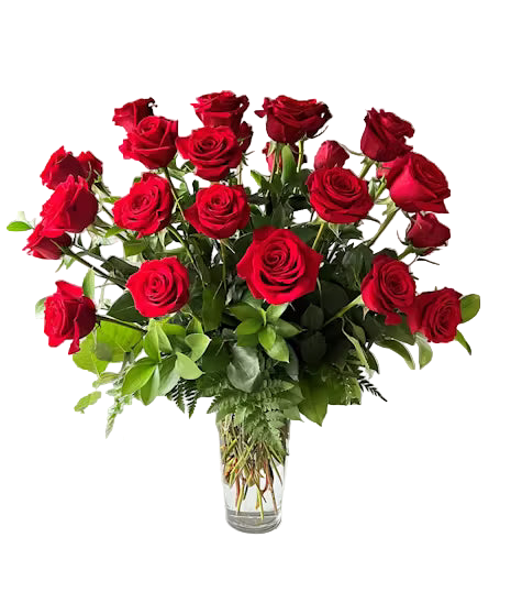 24 Red Roses