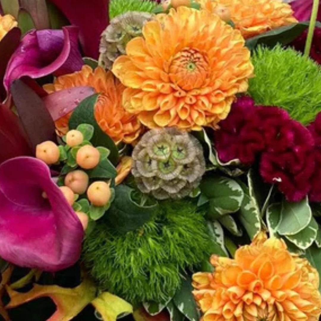 Designer's Choice - Deep Colors