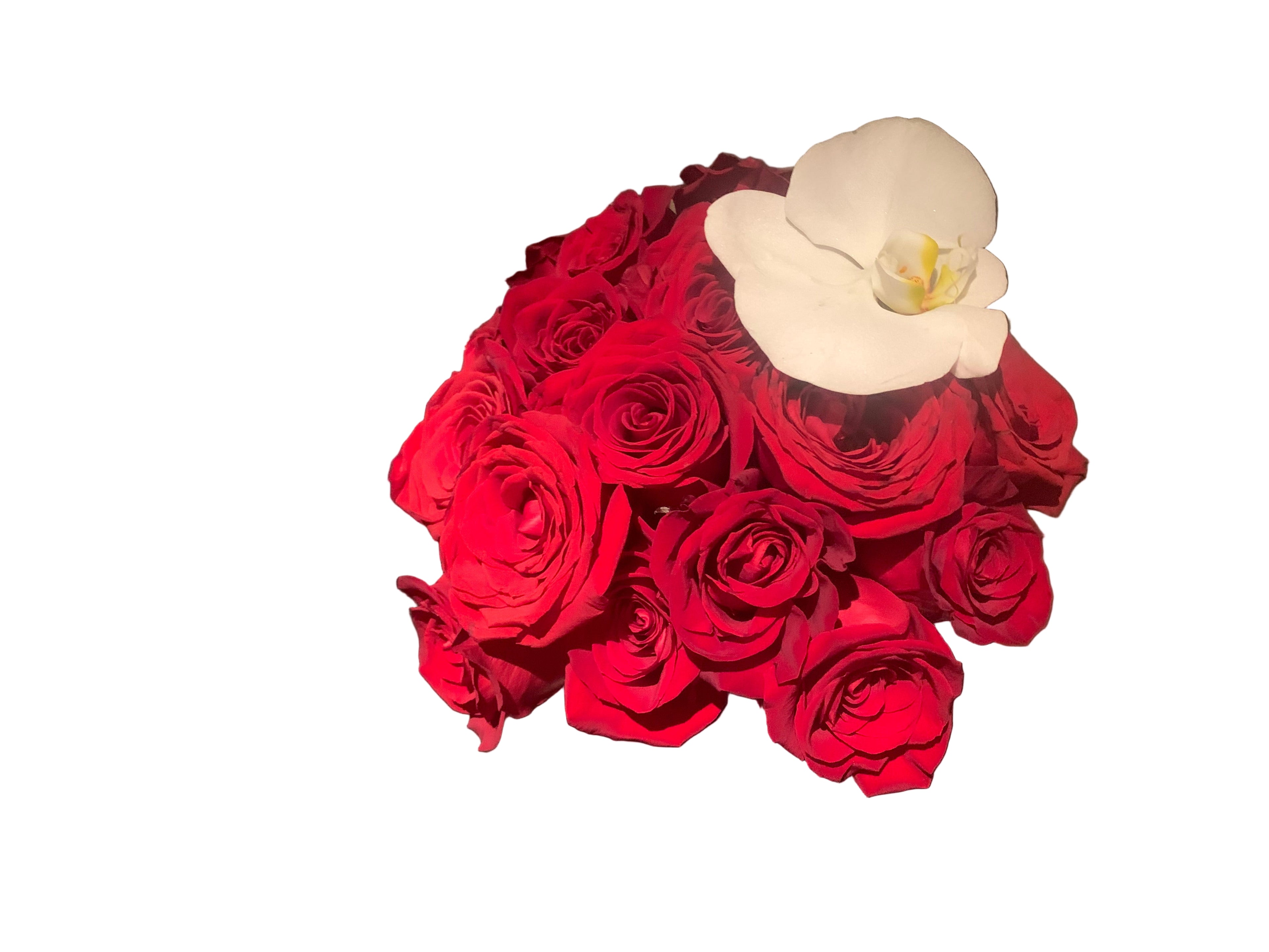 Red Simpicity