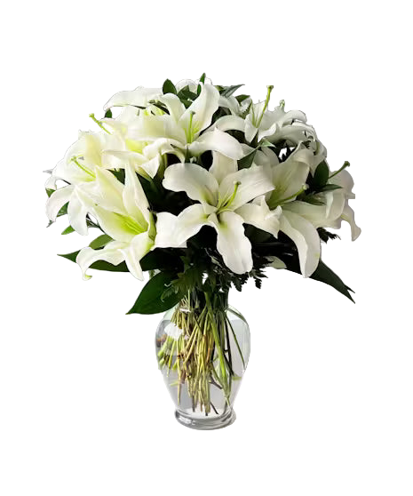 Lillies