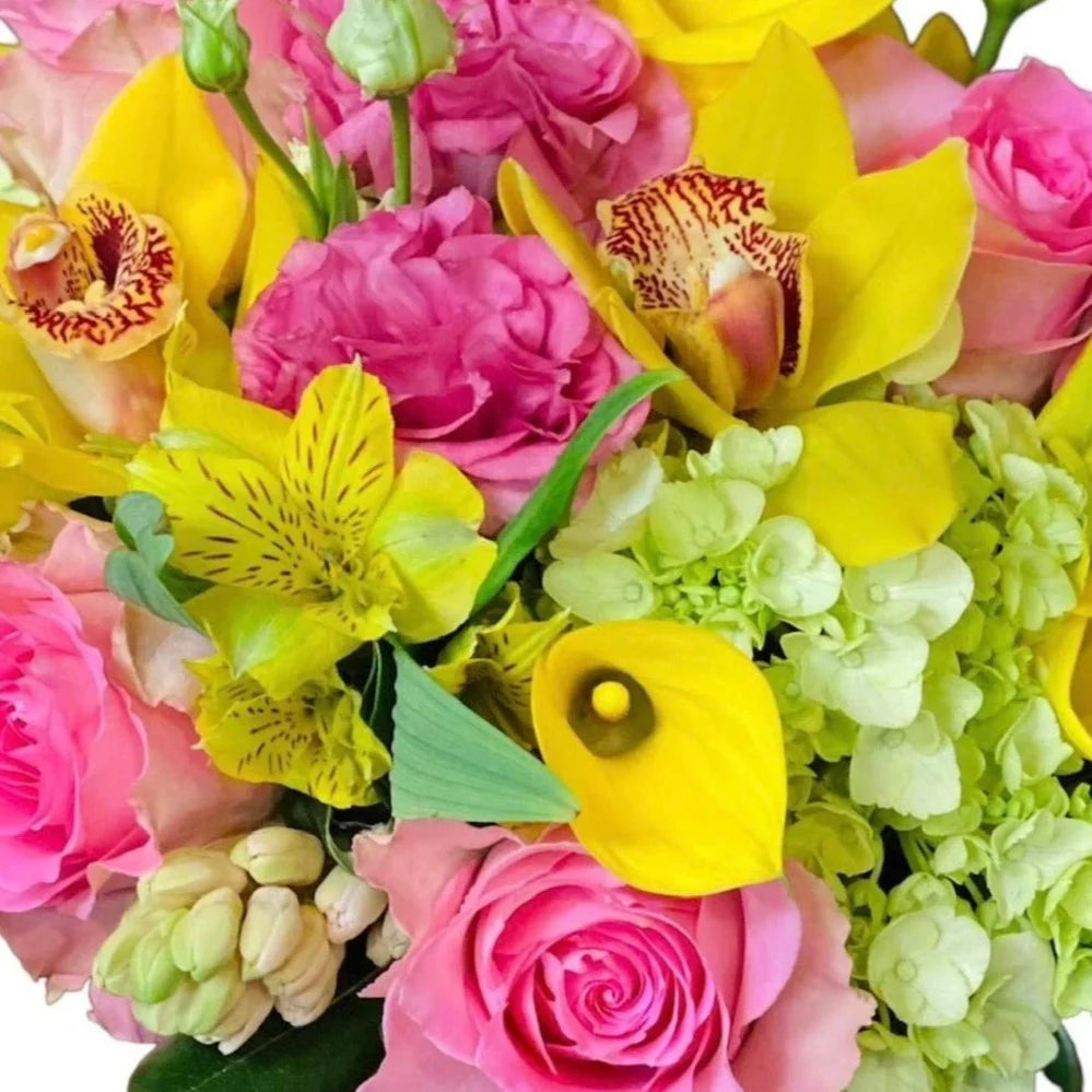 Spring Mix - Designer's Choice