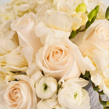White Designer's Choice