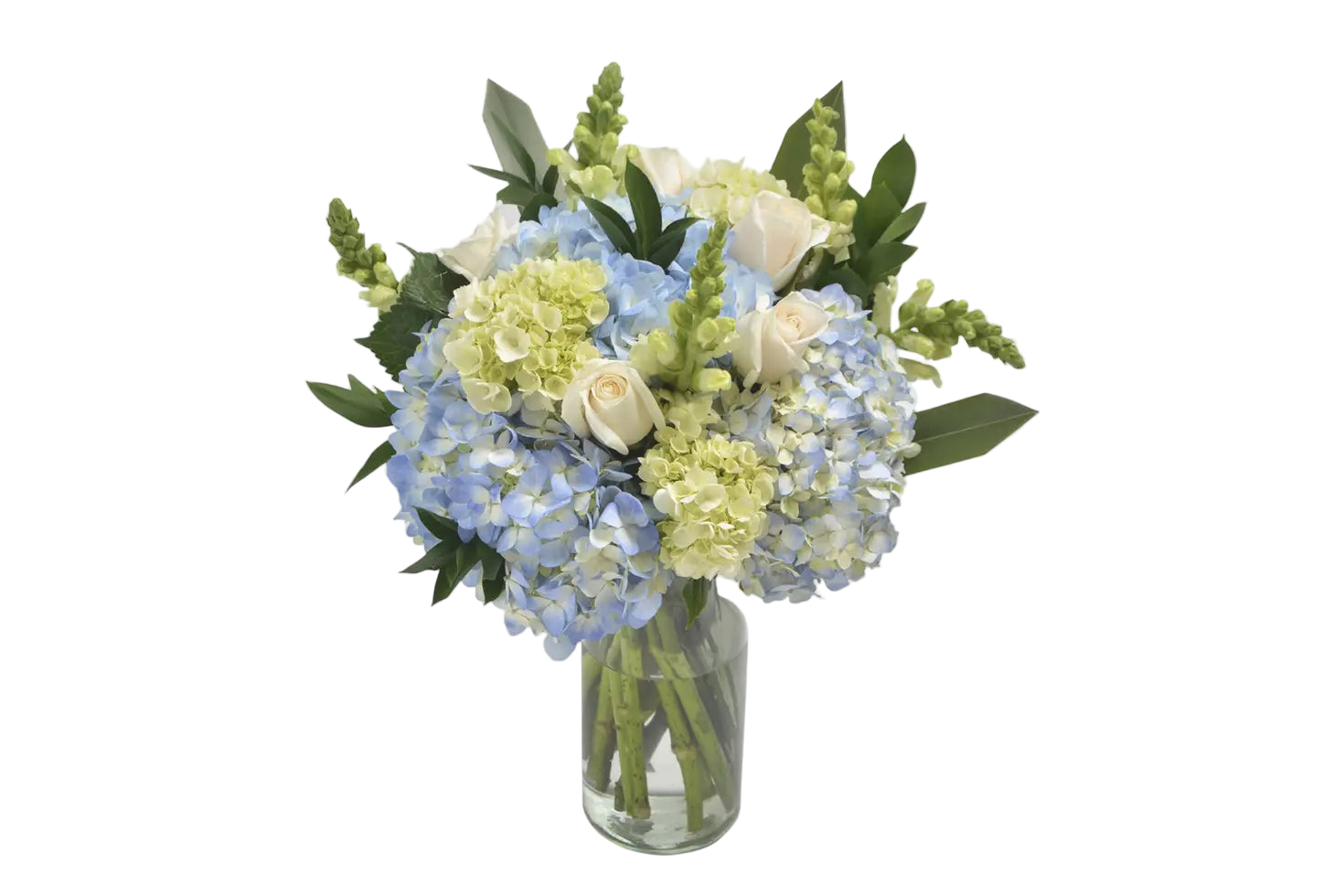 Hydrangeas