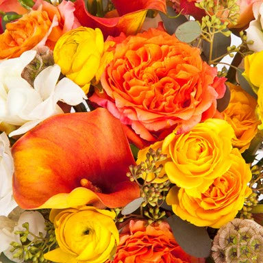 Warm Tones- Designer's Choice